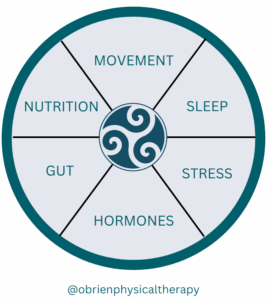 O'Brien Coaching Wellnes Wheel 2(800 x 900 px) O’Brien Physical Therapy Wellness Wheel
